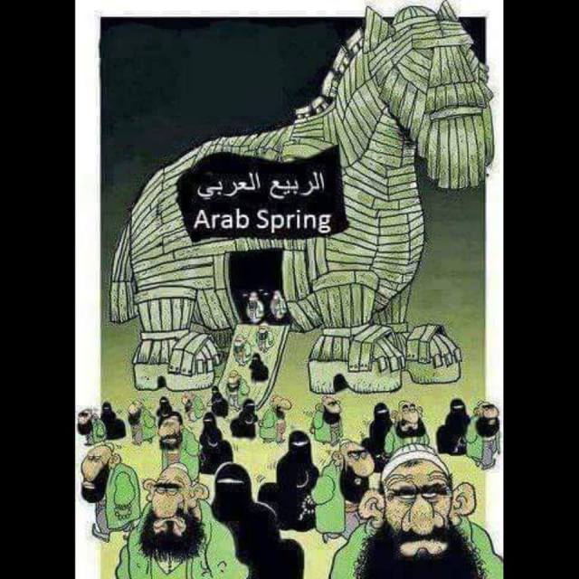 13133346_565798166922148_587030774302408607_n