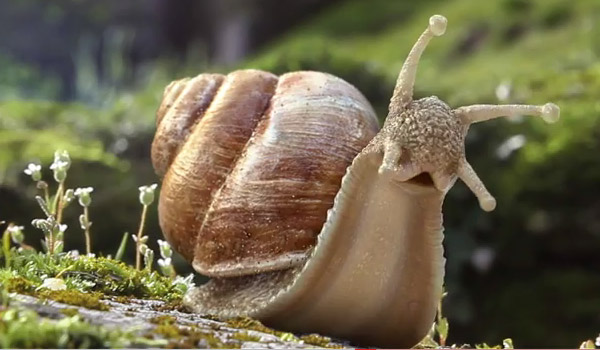 nErssDGp7SPucAhMqxSoebE-5Do