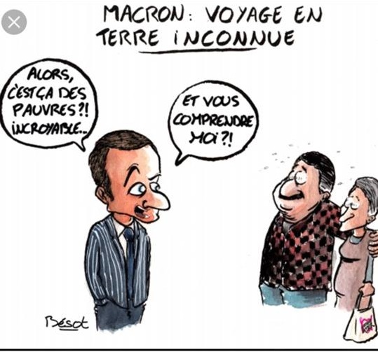 18275273_1351052084987861_962908635531159301_n