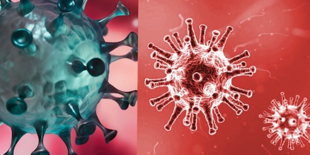 768x384_virus-1