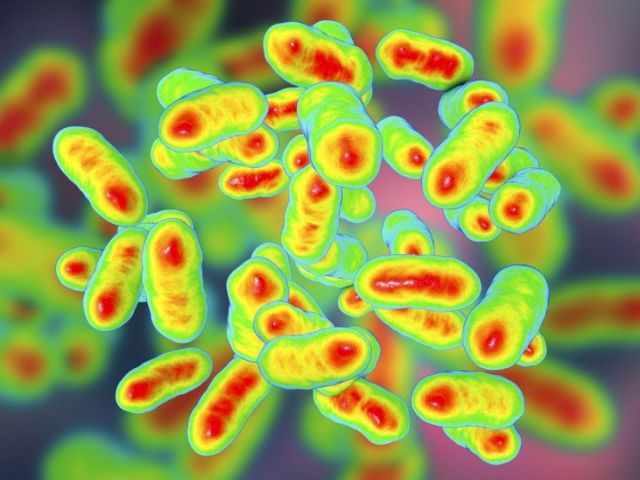 cover-r4x3w1000-5e9ef6f45c196-049-f0209943-1