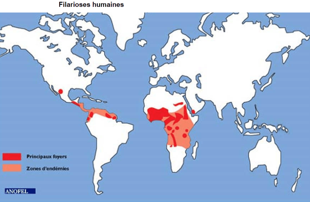 Cette image a un attribut alt vide ; le nom du fichier est filia.png