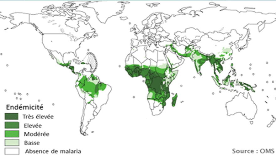 Cette image a un attribut alt vide ; le nom du fichier est image-7.png